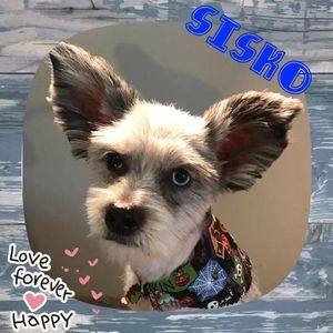 Meet your Posher, Cheryl